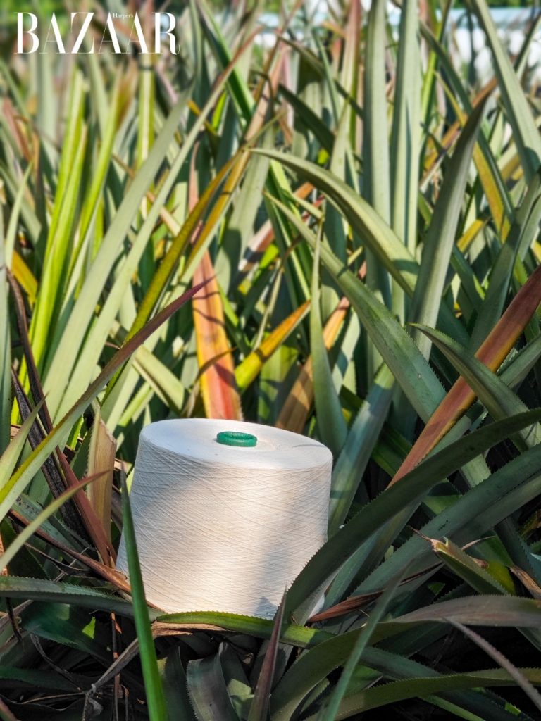 a roll of white pineapple thread lying on the grass