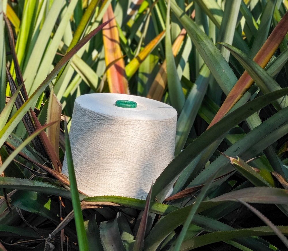 a roll of white pineapple thread lying on the grass